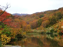 【紅葉・見ごろ】大厳寺高原 2026