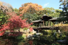 渉成園の紅葉 2026