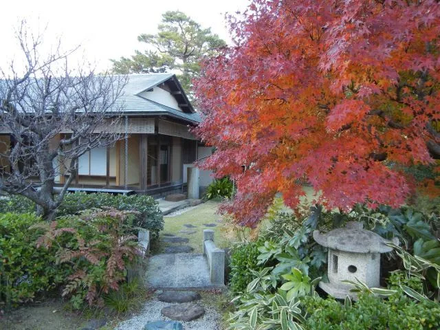 あけぼの山公園 さくら山の紅葉 2026