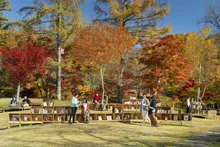 軽井沢 紅葉図書館2026