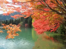 南伊奈ヶ湖周辺の紅葉 2026