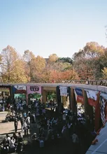 第104回外語祭 2026