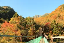 南アルプス白鳳渓谷の紅葉 2026