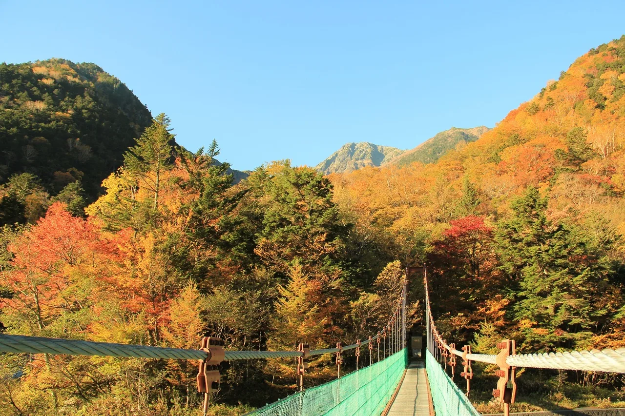 南アルプス白鳳渓谷の紅葉 2026