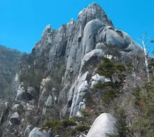 【紅葉・見ごろ】大崩山 2026