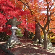 【紅葉・見ごろ】阿弥陀山清水寺 2026