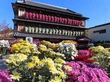 笠間の菊まつり 2026
