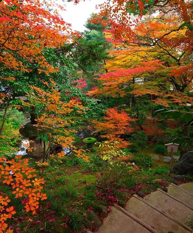西田家庭園 玉泉園の紅葉 2026
