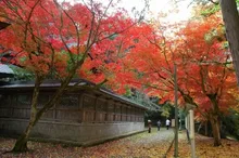 やぶ紅葉まつり 2026