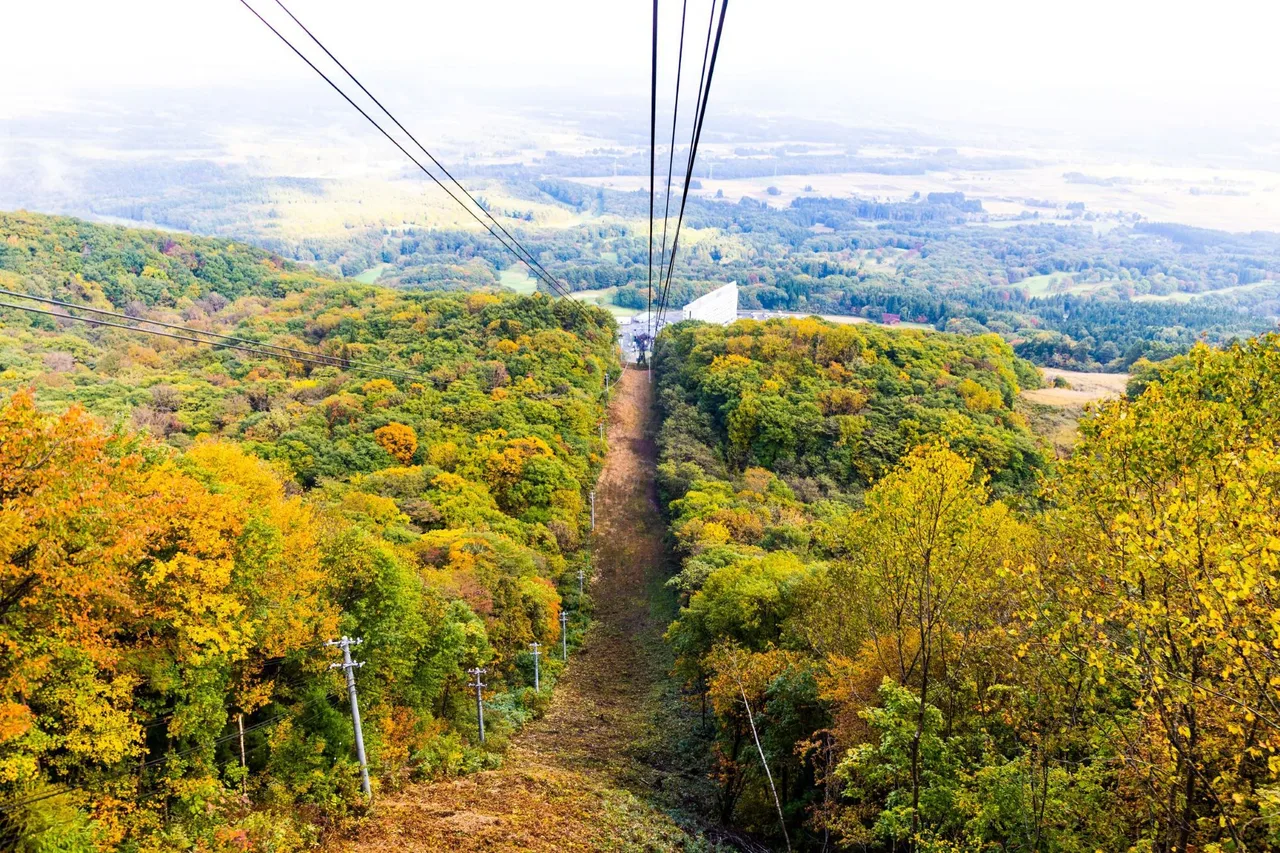 雫石スキー場(高倉山)の紅葉 2026