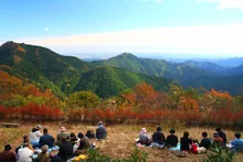 御岳山の紅葉 2026