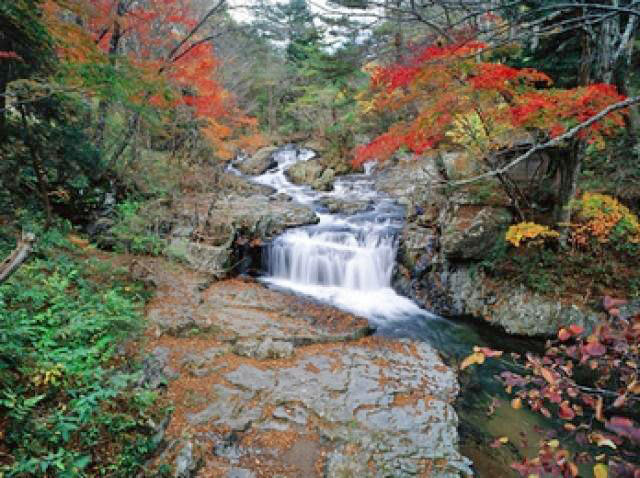 岩手県の紅葉 2026｜イベント一覧 - SUPPART