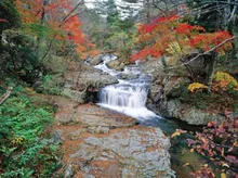【紅葉・見ごろ】小黒滝 2026