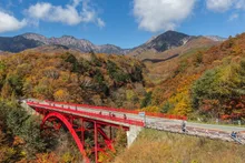川俣川渓谷・東沢大橋の紅葉【一部工事中】 2026