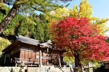 【紅葉・見ごろ】徳山神社 2026