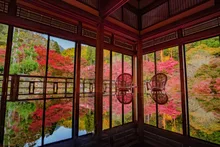 環境芸術の森の紅葉 2026