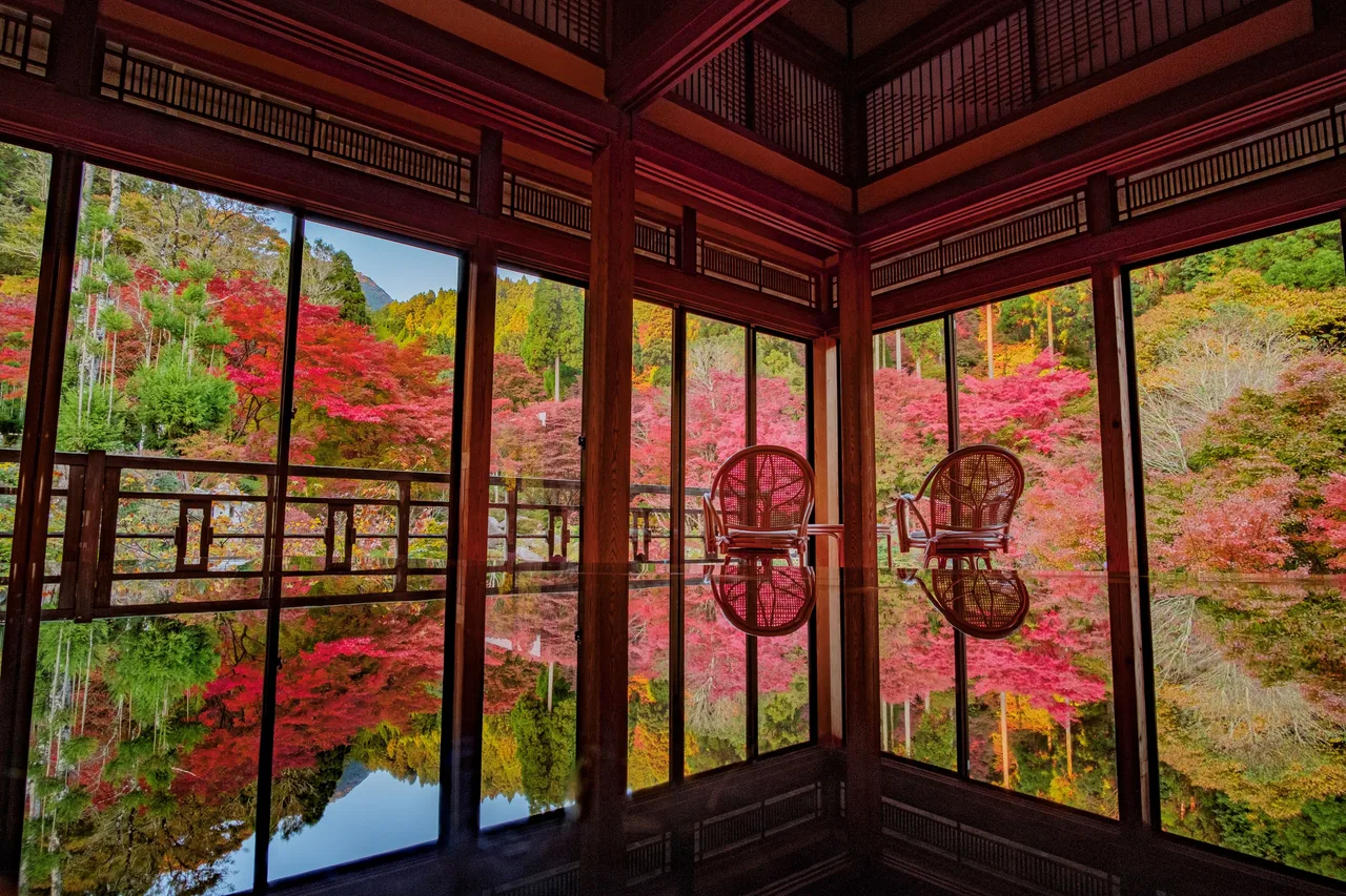 環境芸術の森の紅葉 2026
