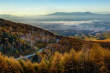 高峰高原の紅葉 2026