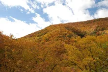湯の丸高原の紅葉 2026