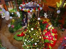 季節展示「冬の庭」クリスマス 2026