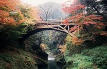 【紅葉・見ごろ】鶴仙渓 2026