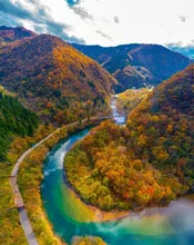 九頭竜峡の紅葉 2026