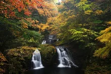 【紅葉・見ごろ】赤目四十八滝 2026
