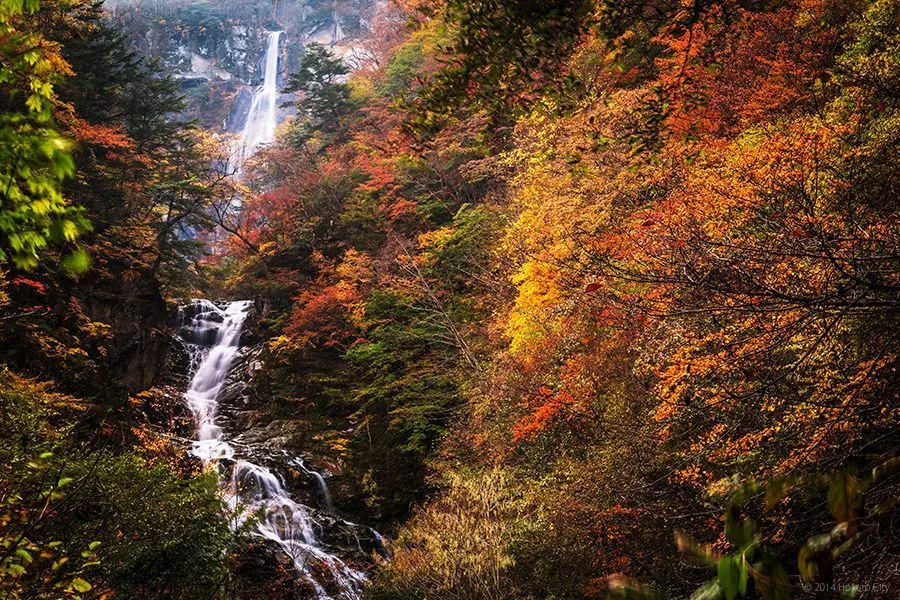 石空川渓谷の紅葉 2026