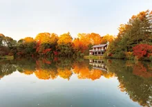軽井沢タリアセンの紅葉 2026
