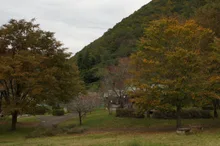 大館市ベニヤマ自然パークの紅葉 2026