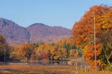 矢ノ原湿原の紅葉 2026