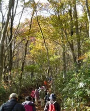 第35回氷ノ山紅葉登山フェスティバル 2026