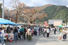 五サー市と秋の吉水園一般公開 2026