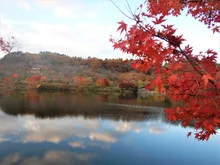 八塩いこいの森の紅葉 2026