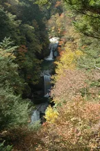 尾白川渓谷の紅葉 2026