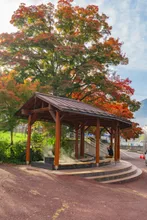 湯田中渋温泉郷の紅葉 2026