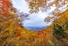【紅葉・見ごろ】宇津江四十八滝 2026