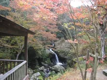 【紅葉・見ごろ】るり渓 2026