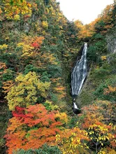 船上山の紅葉 2026