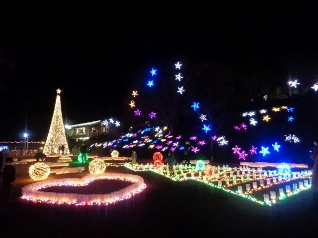 花と光のページェント(夜間開園) 2026