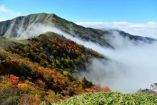 剣山の紅葉 2026
