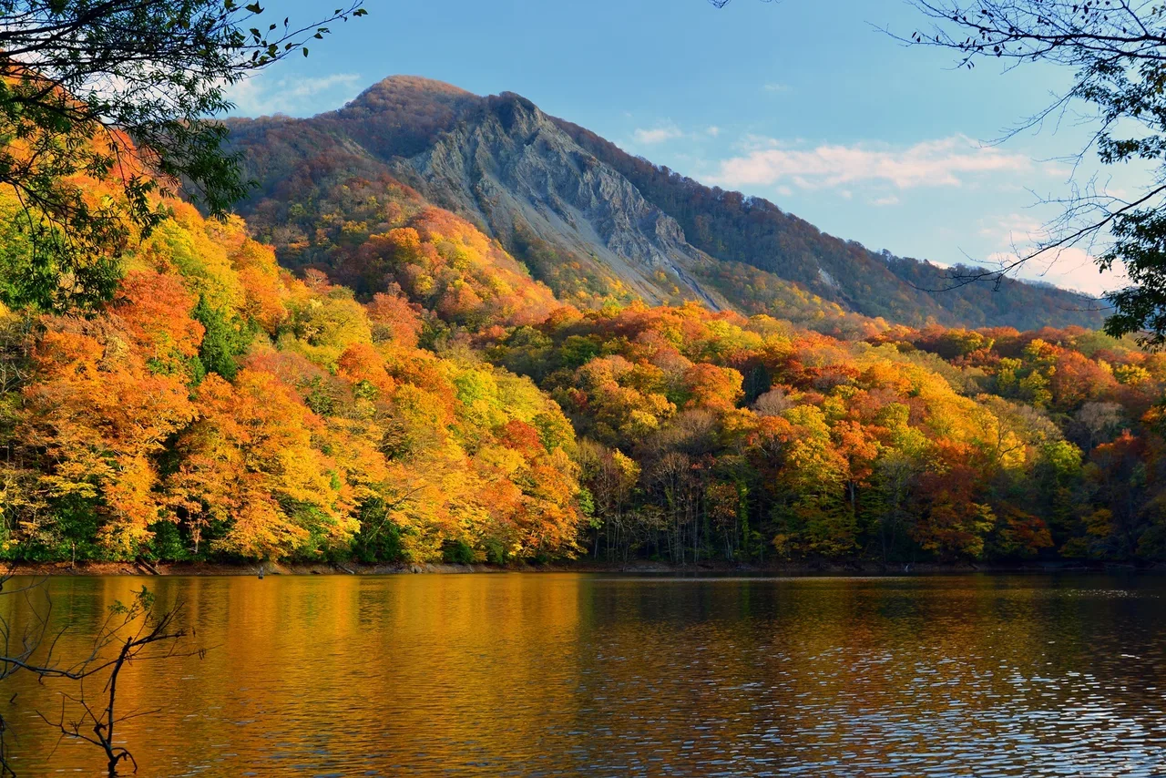 十二湖の紅葉 2026