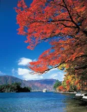 【紅葉・見ごろ】十和田湖 2026