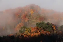 白川湖周辺の紅葉 2026