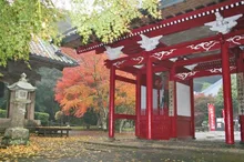 【紅葉・見ごろ】南房総市小松寺 2026
