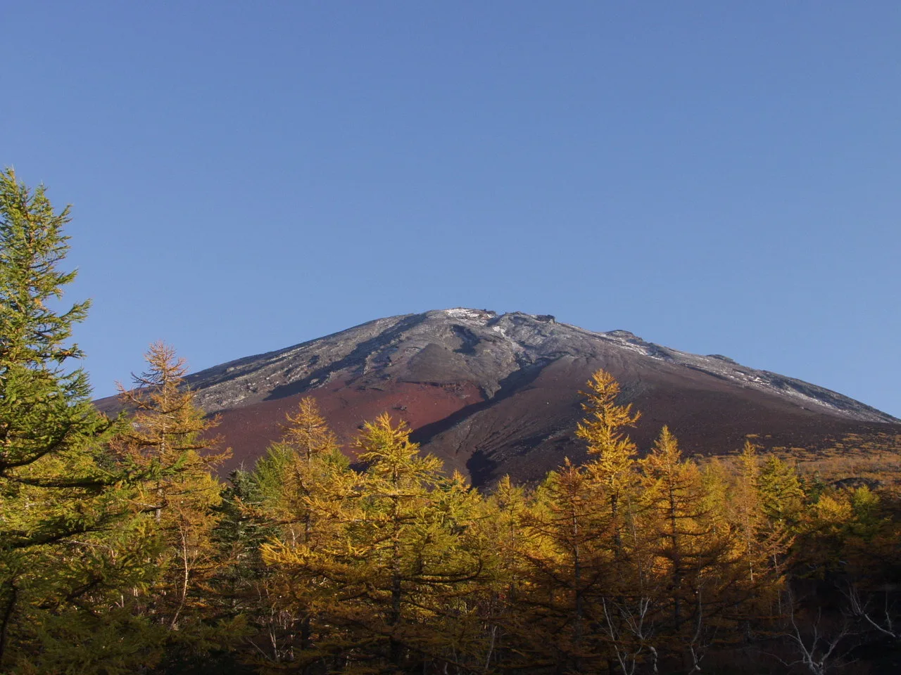 富士山5合目(山梨側)の紅葉 2026