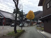 白峰集落一帯の紅葉 2026