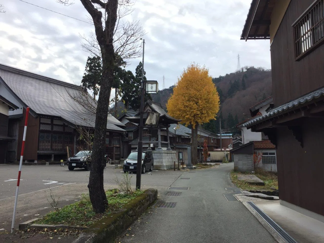 白峰集落一帯の紅葉 2026