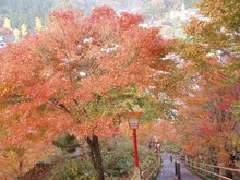 清正公園の紅葉 2026