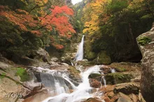 【紅葉・見ごろ】奈良県十津川村「笹の滝」 2026